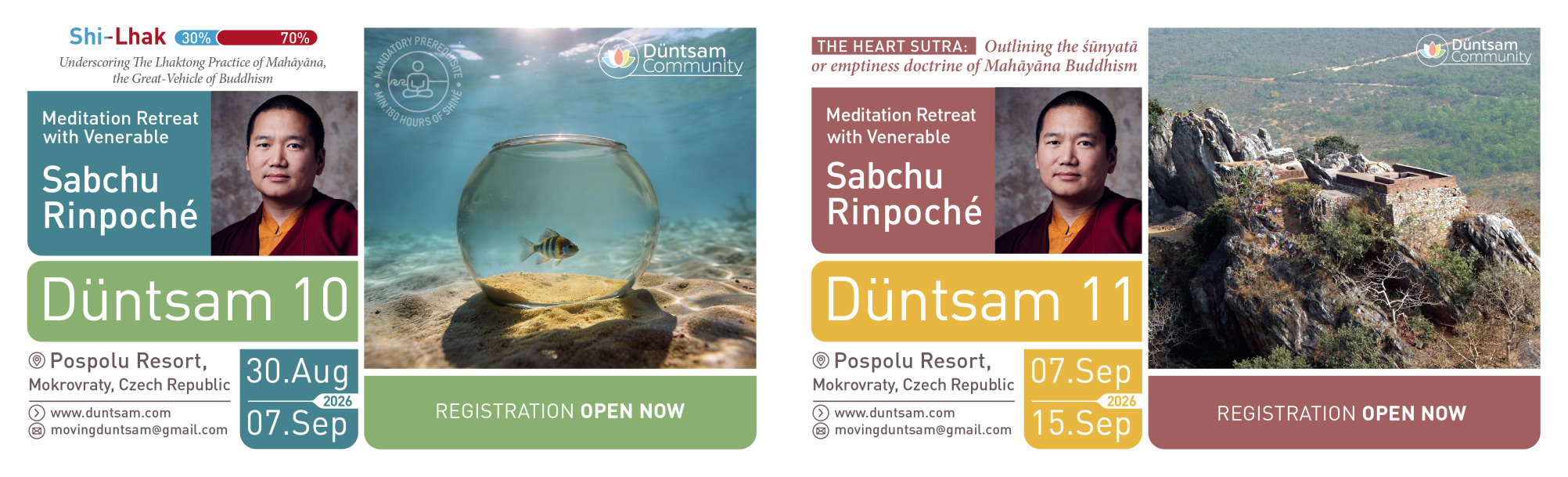 banner_D10_D11_montage